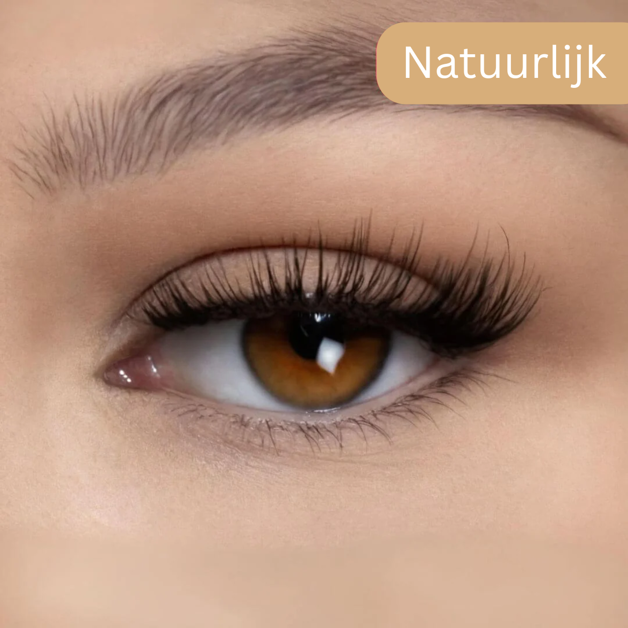 Goodie Oasis Magnetische wimpers