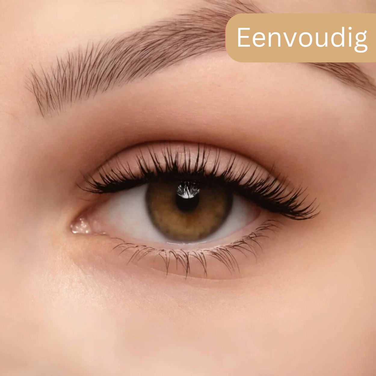 Goodie Oasis Magnetische wimpers